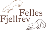 Felles Fjellrev